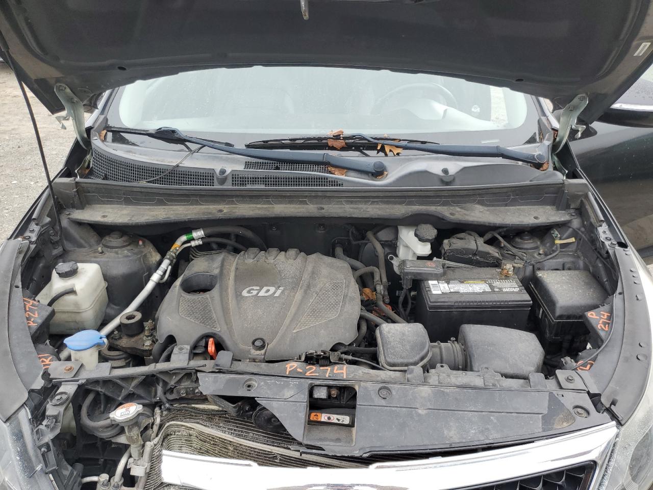 2014 Kia Sportage Ex VIN: KNDPC3AC7E7632752 Lot: 91174935