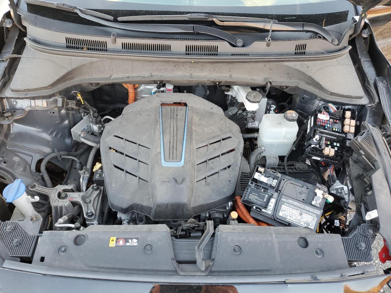 2023 Hyundai Kona Sel VIN: KM8K33AG1PU186482 Lot: 91294575