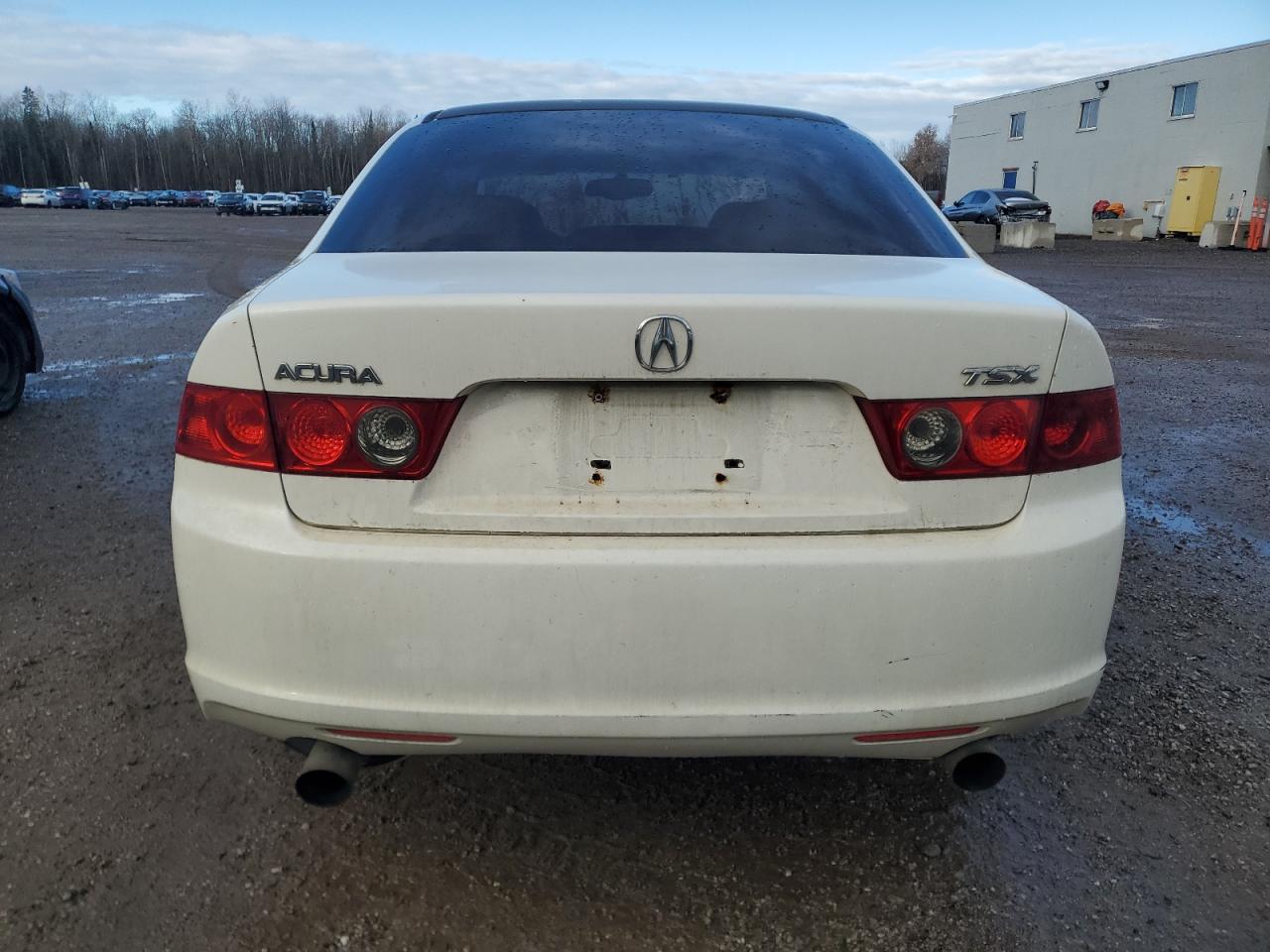2006 Acura Tsx VIN: JH4CL96876C800077 Lot: 92051555
