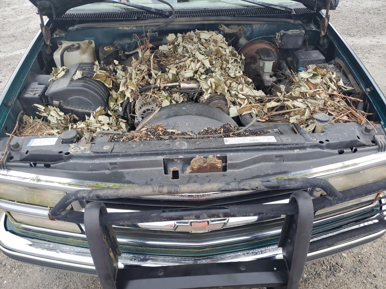 1998 Chevrolet Gmt-400 K1500 VIN: 1GCEK19R3WE173028 Lot: 86123125