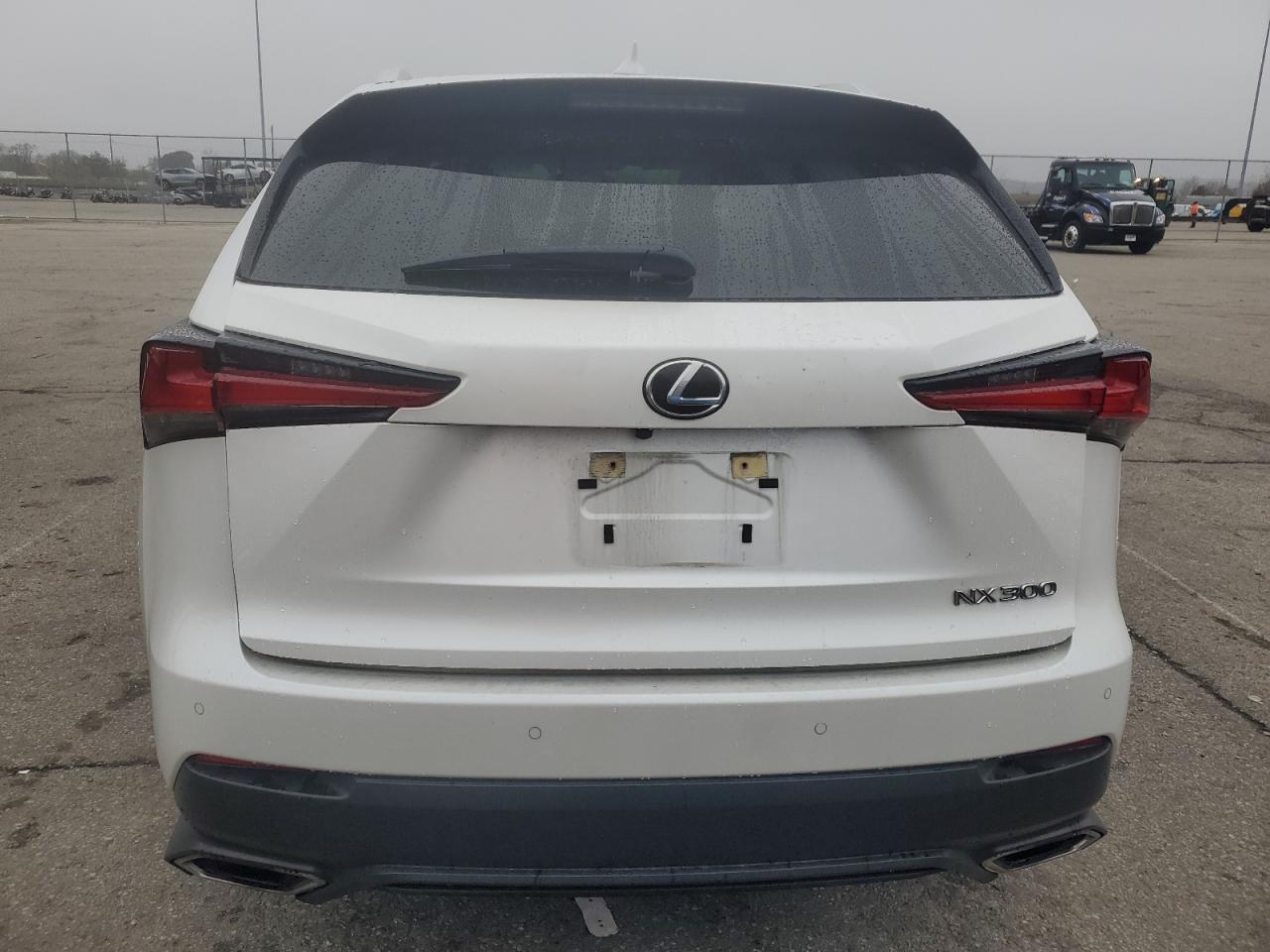 2020 Lexus Nx 300 VIN: JTJDARDZ5L5006988 Lot: 93391875
