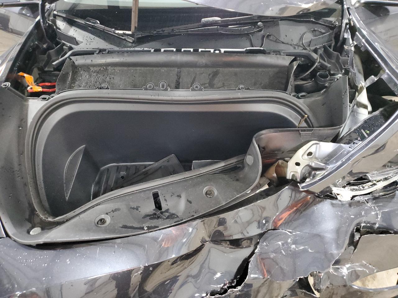 2025 Tesla Model Y VIN: 7SAYGDEE5SF251744 Lot: 93203385