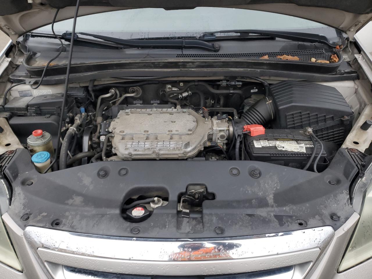 2005 Honda Odyssey Exl VIN: 5FNRL38735B094742 Lot: 93155275