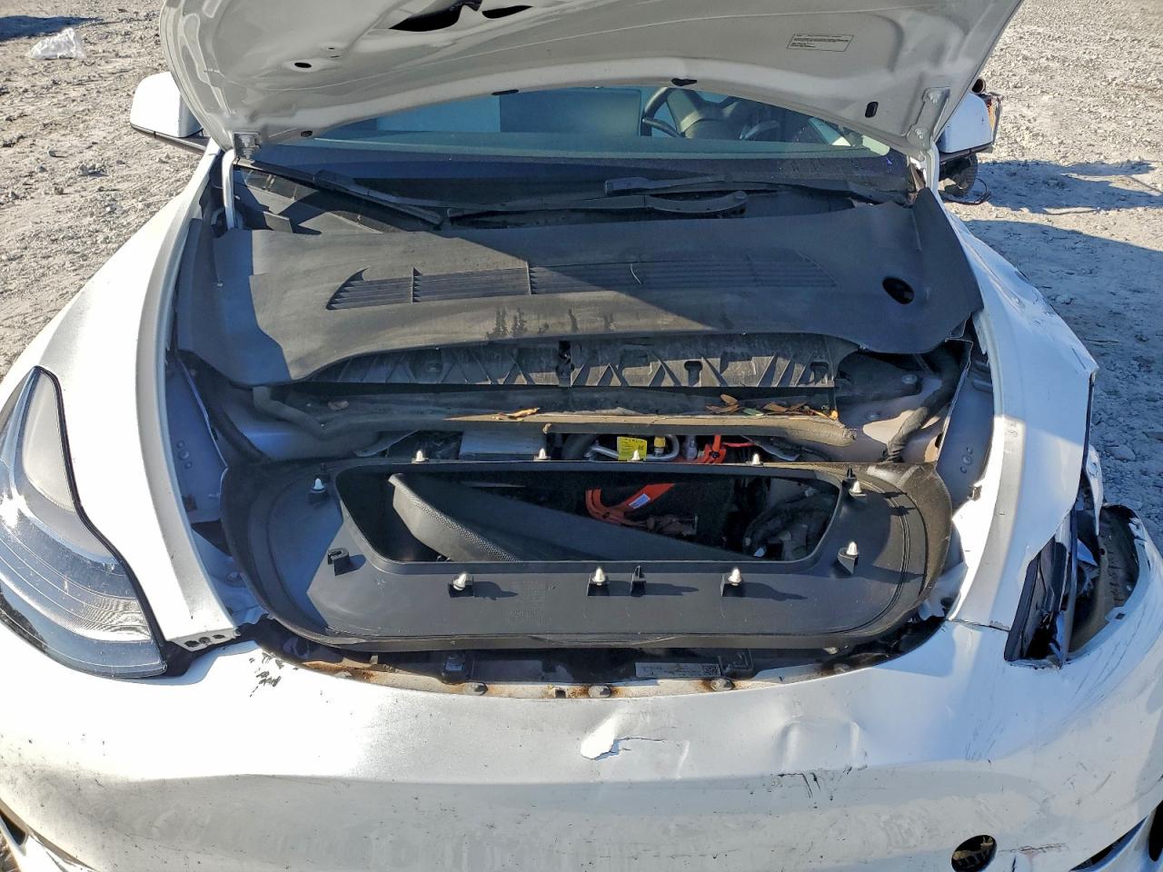 2023 Tesla Model Y VIN: 7SAYGDEFXPF663643 Lot: 93928275