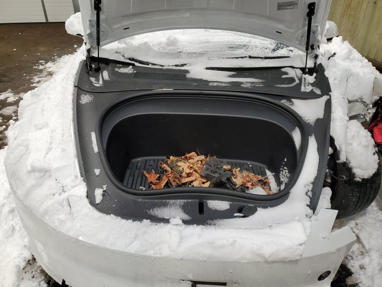 2024 Tesla Model 3 VIN: LRW3E7FA1RC058005 Lot: 91372505