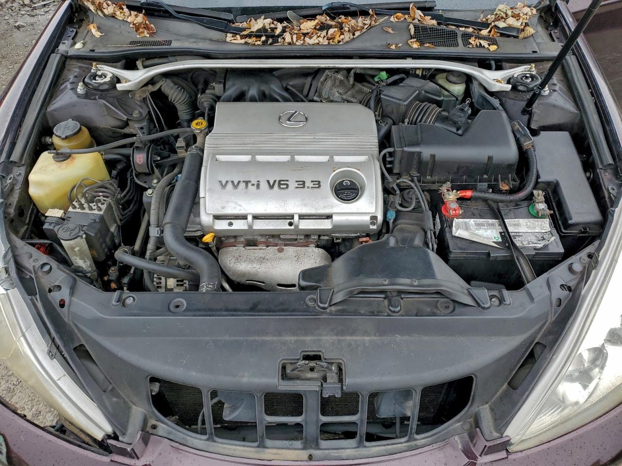 2004 Lexus Es 330 VIN: JTHBA30G245010198 Lot: 94015755