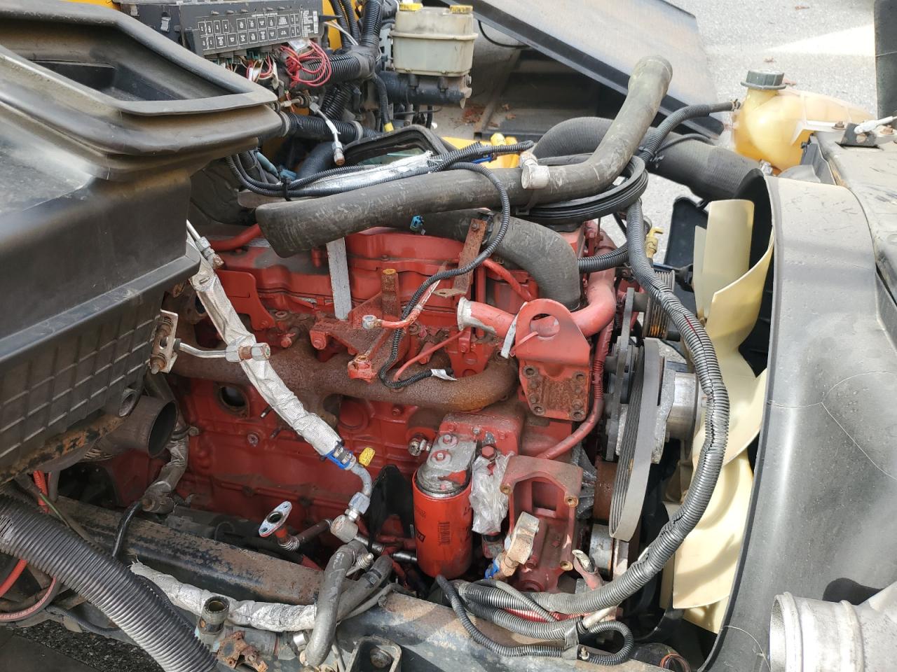 2019 Ic Corporation Ce Series School - School Bus VIN: 4DRBUC8P5KB046443 Lot: 84647435