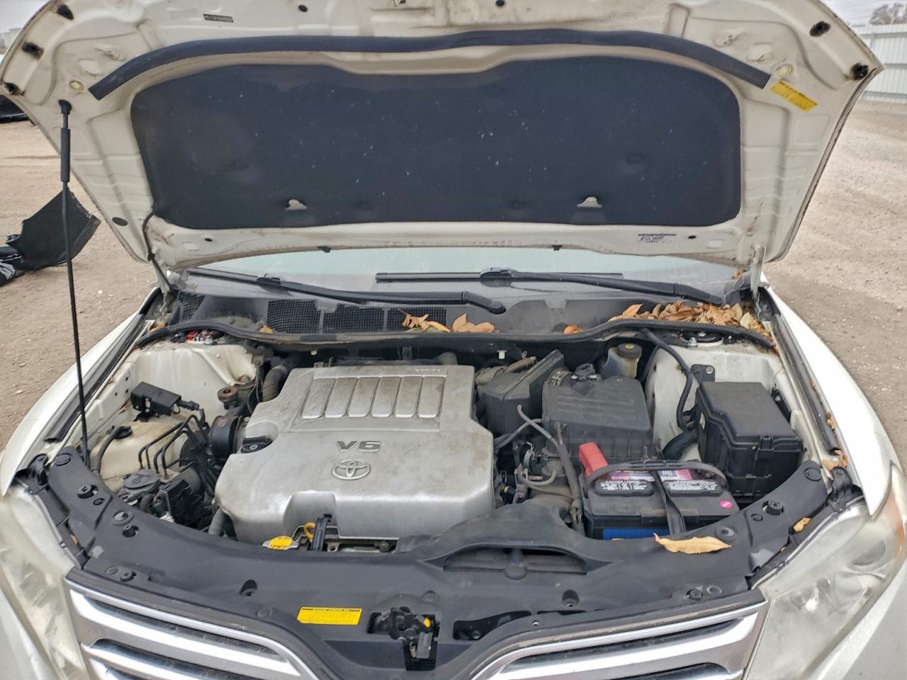 2010 Toyota Venza VIN: 4T3BK3BB8AU029309 Lot: 94111235