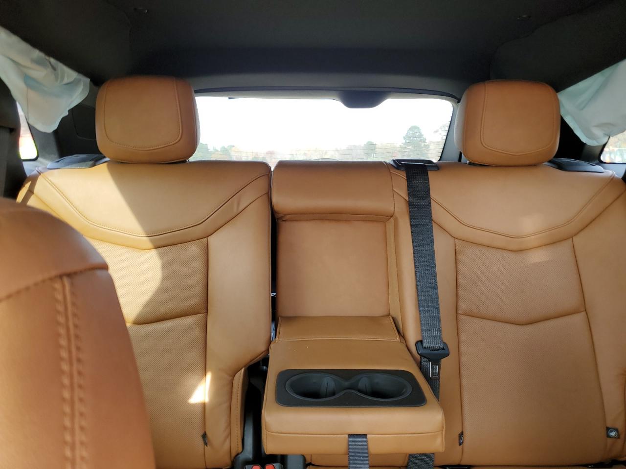 2020 Cadillac Xt5 Premium Luxury VIN: 1GYKNCRS1LZ140259 Lot: 93376325