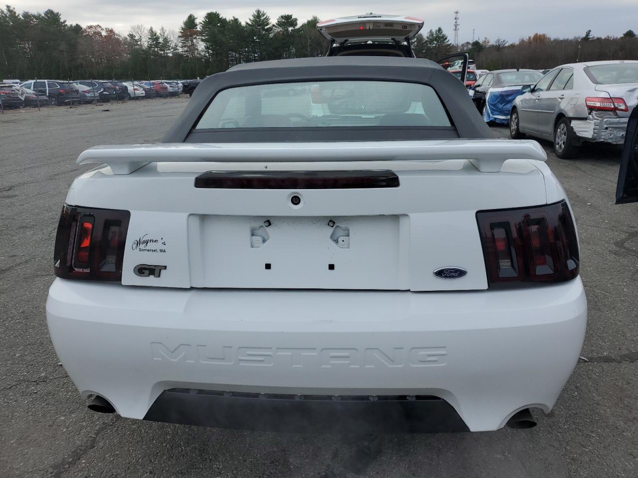 2002 Ford Mustang Gt VIN: 1FAFP45X42F185064 Lot: 93084175