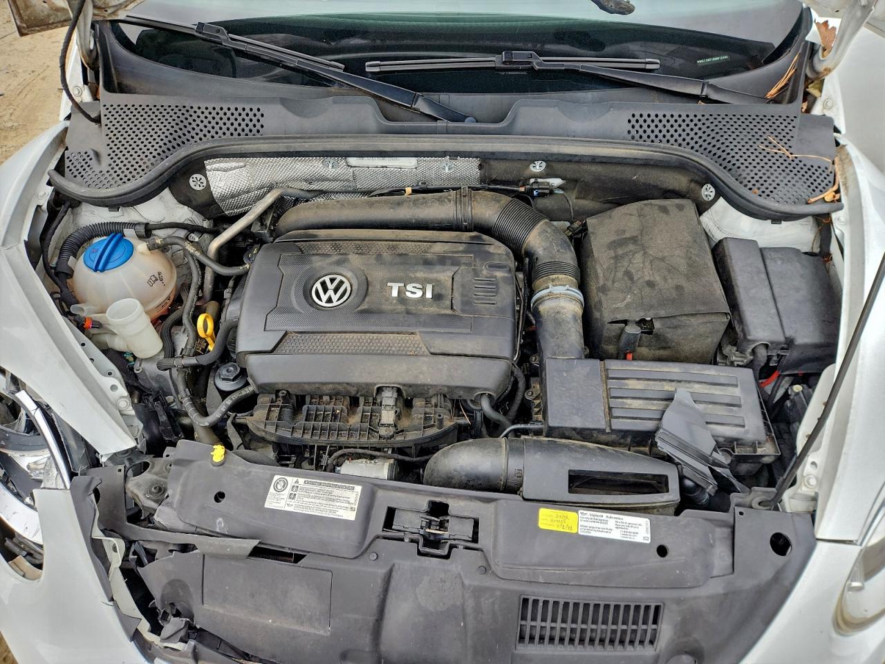 2016 Volkswagen Beetle S/Se VIN: 3VW517AT1GM812495 Lot: 94020665