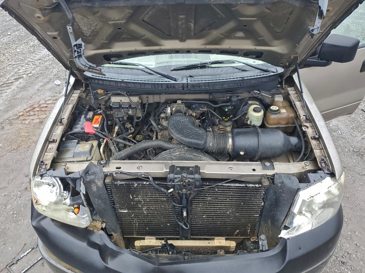 2005 Ford F150 VIN: 1FTRF12W45NA40573 Lot: 93841295