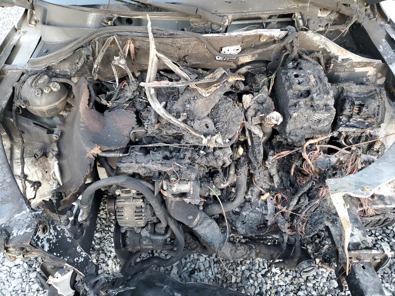 2009 Volkswagen Tiguan S VIN: WVGAV75N29W526350 Lot: 92901105