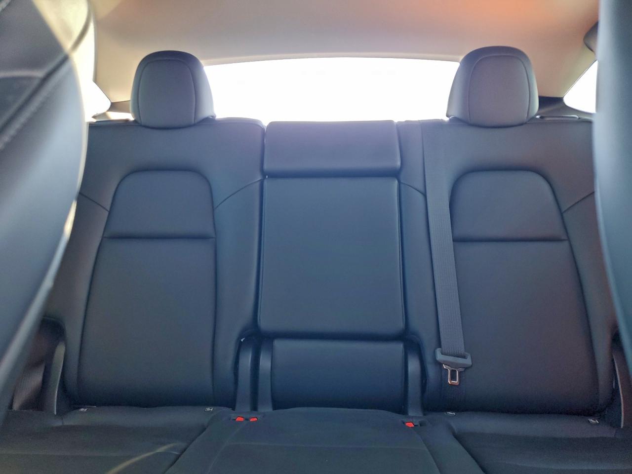 2024 Tesla Model Y VIN: 7SAYGDEE1RF181055 Lot: 94156595