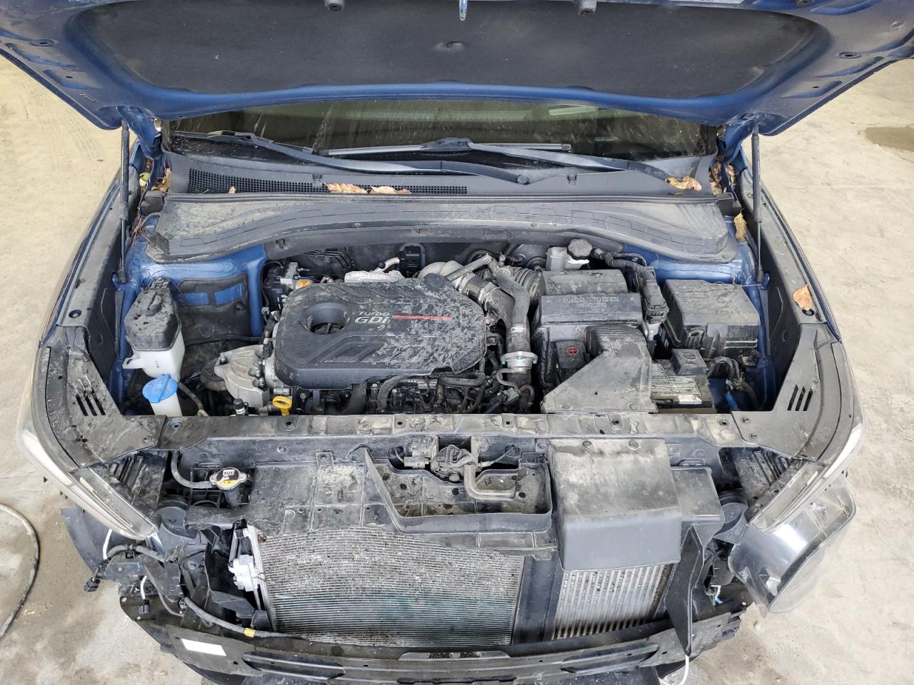 2020 Hyundai Santa Fe Limited VIN: 5NMS53AA5LH168143 Lot: 92422565