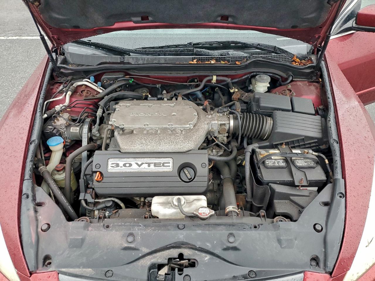 2005 Honda Accord Ex VIN: 1HGCM665X5A009203 Lot: 93155715