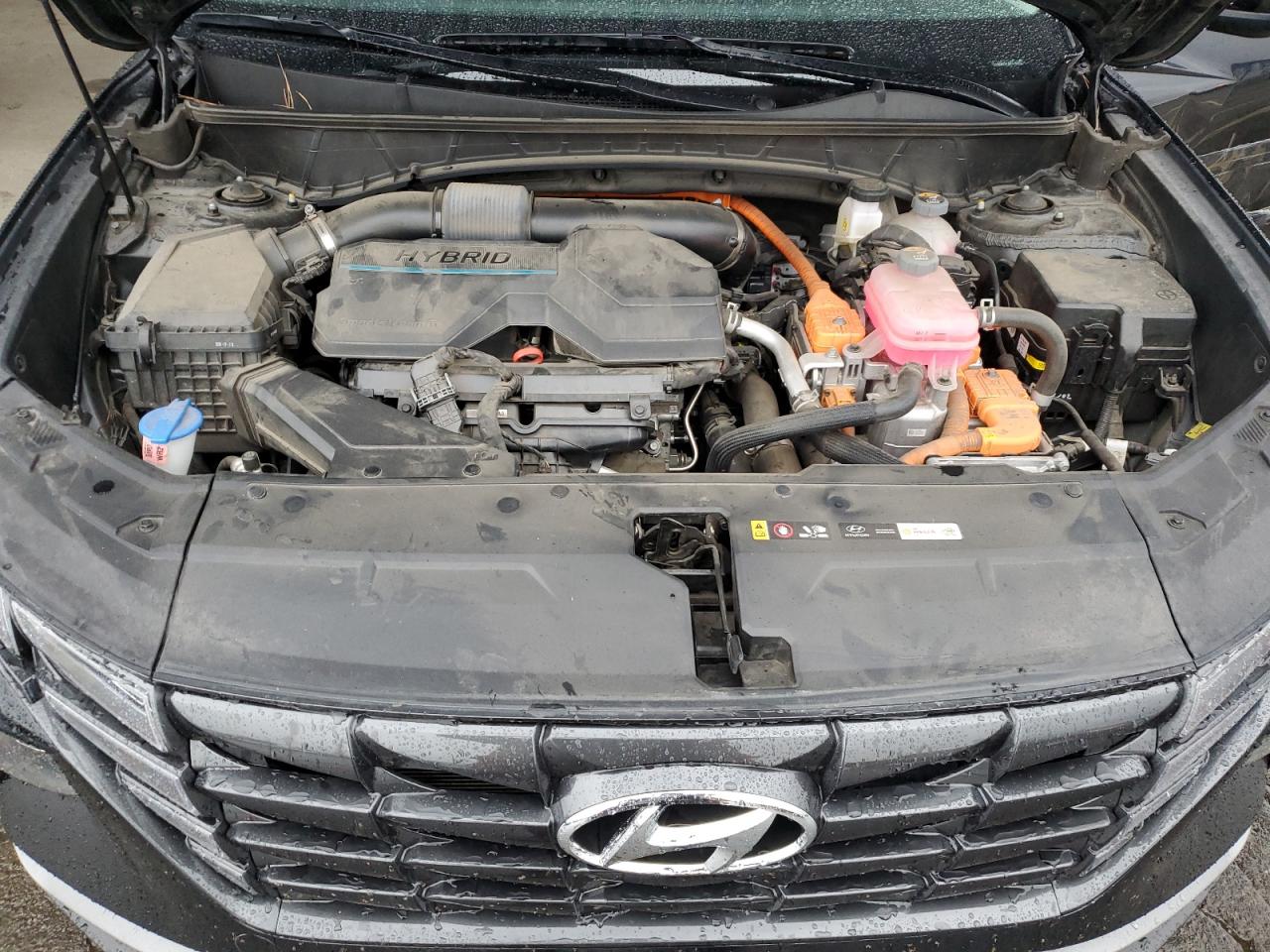 2024 Hyundai Tucson Blue VIN: KM8JBCD14RU170835 Lot: 93961085