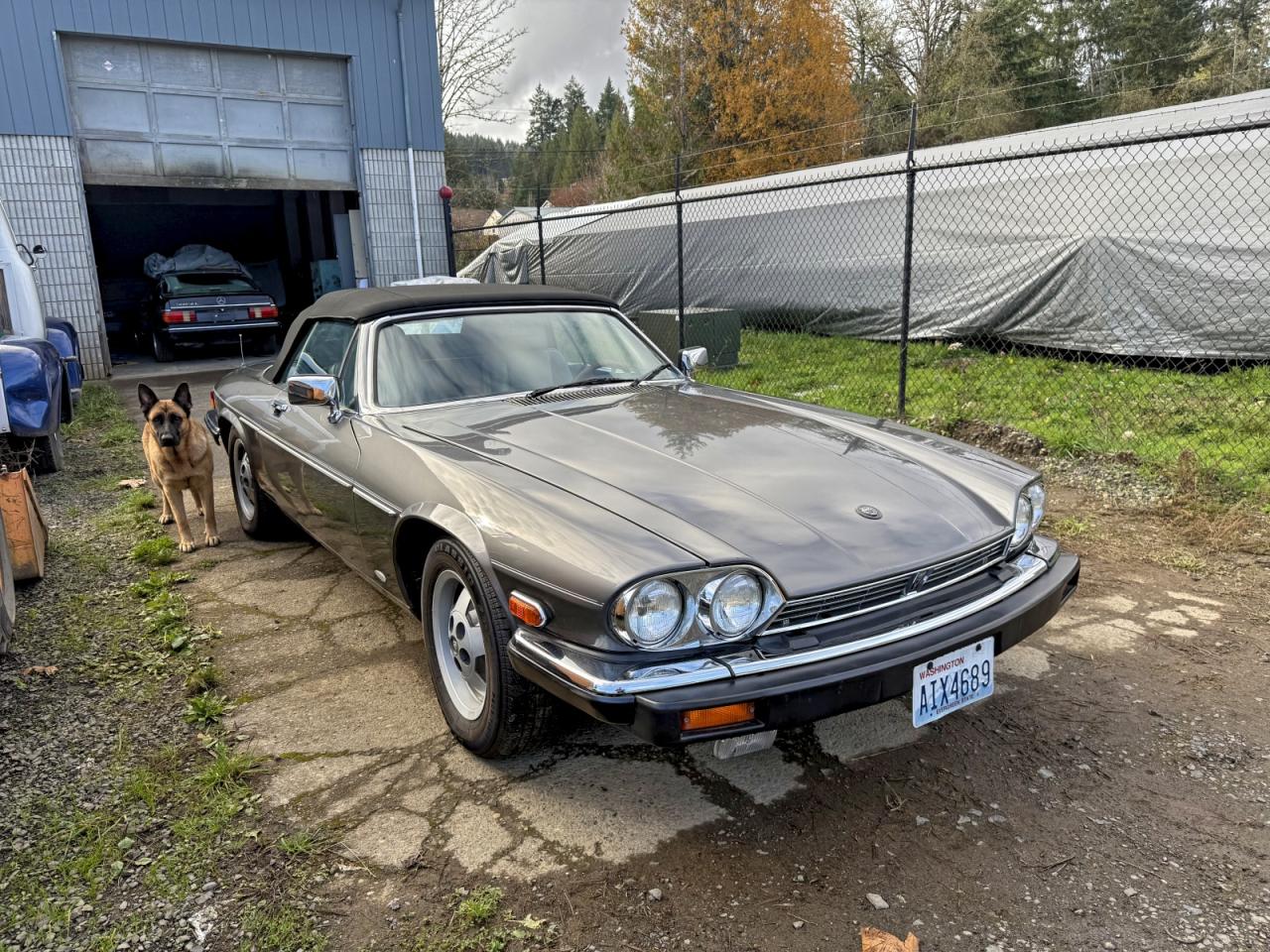 1988 Jaguar Xjs