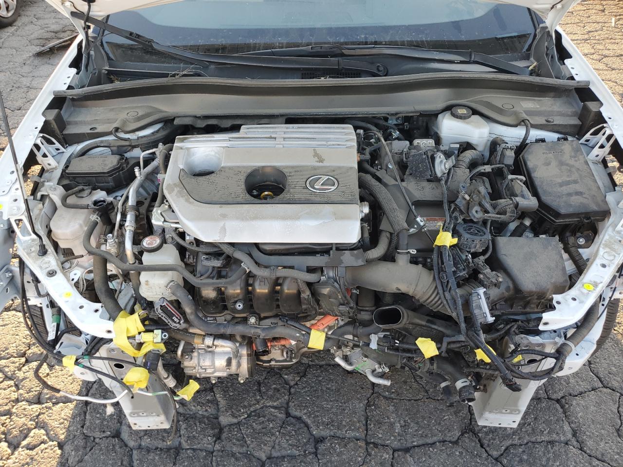 2023 Lexus Ux 250H Base VIN: JTHB6JBH6P2145508 Lot: 91287565