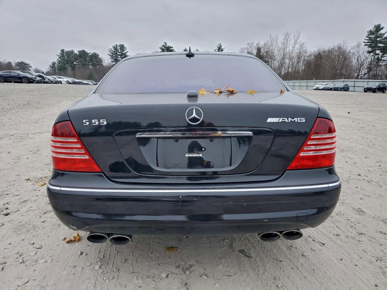 2004 Mercedes-Benz S 55 Amg VIN: WDBNG74J54A423345 Lot: 92512795