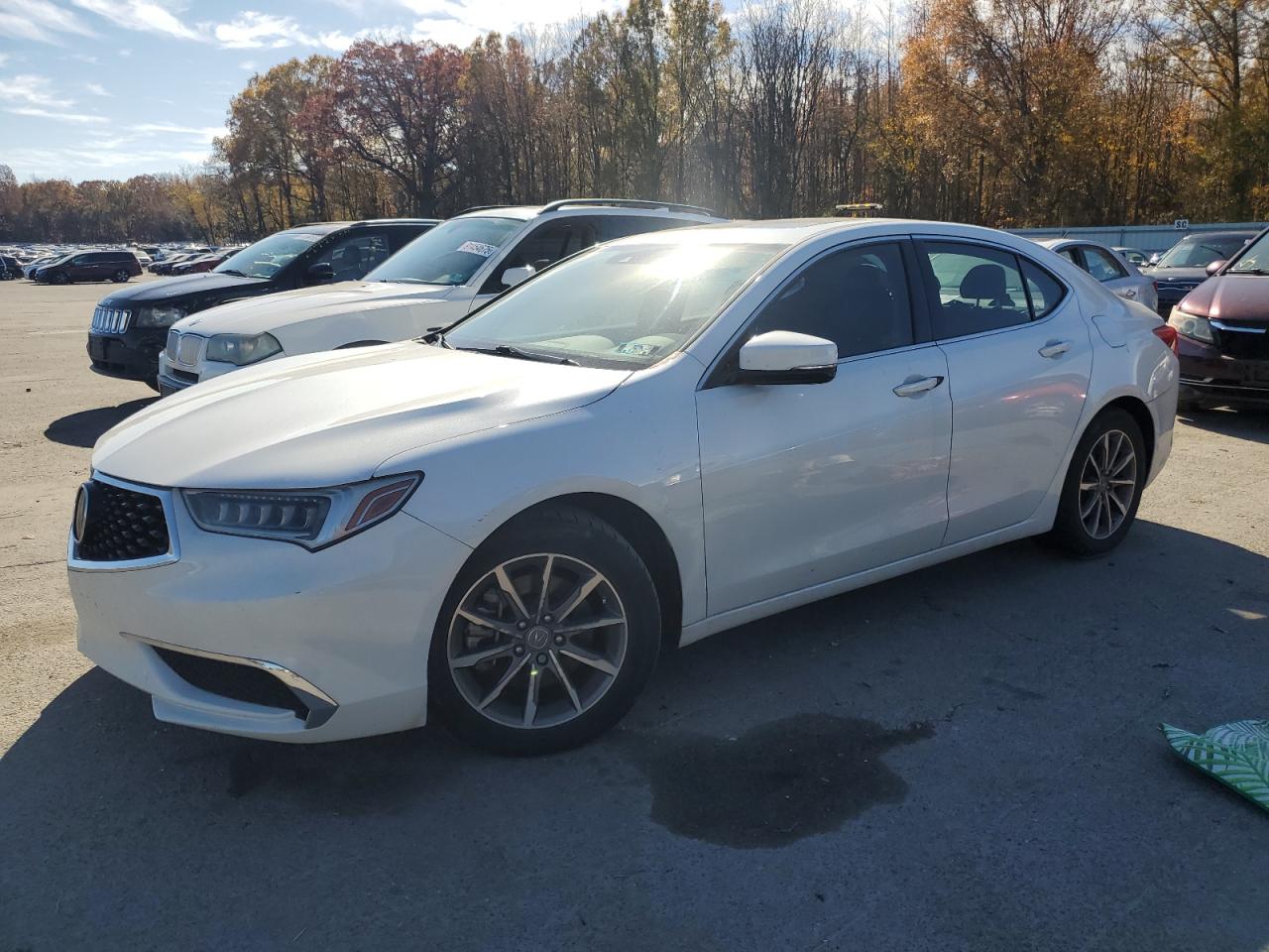 2019 Acura Tlx VIN: 19UUB1F38KA005352 Lot: 89657995