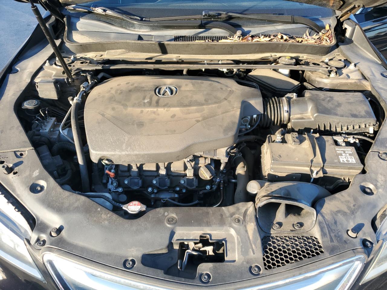 2015 Acura Tlx Advance VIN: 19UUB3F7XFA005731 Lot: 92657615