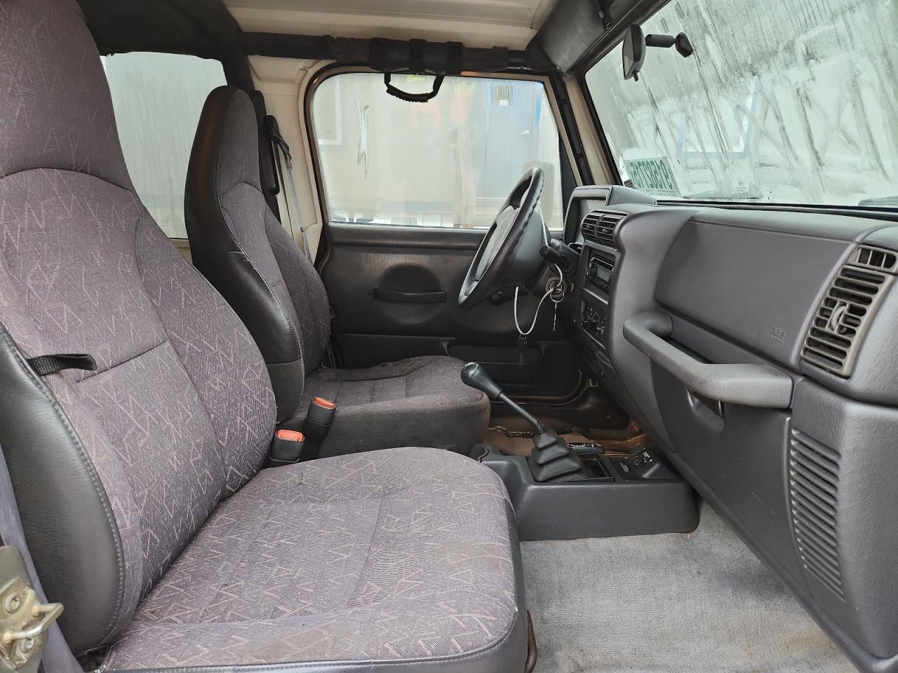 2002 Jeep Wrangler / Tj X VIN: 1J4FA39S22P776177 Lot: 91582715