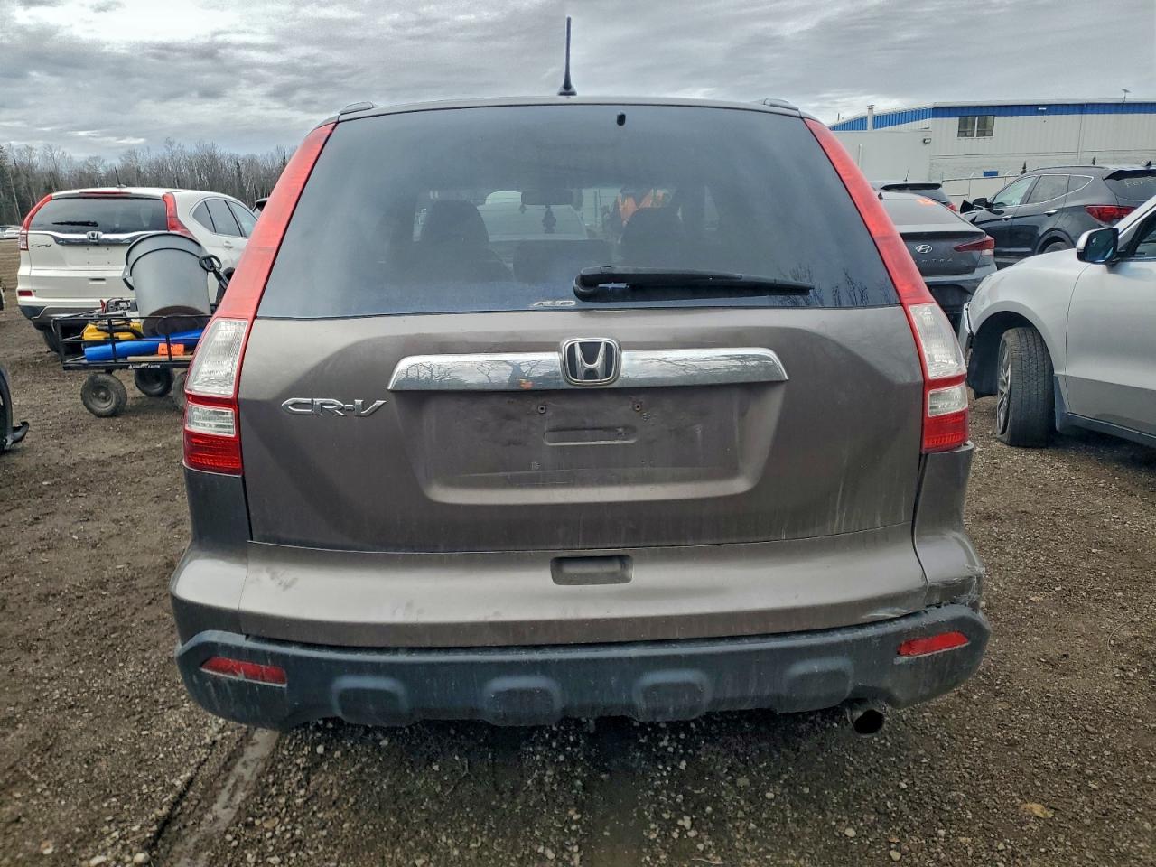 2009 Honda Cr-V Exl VIN: 5J6RE48759L810554 Lot: 94028105