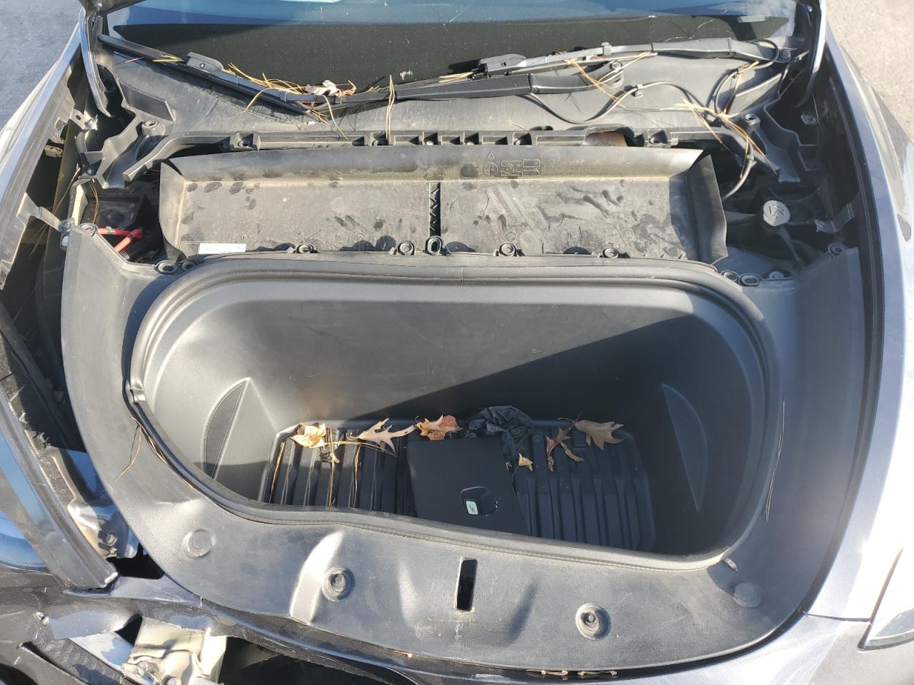 2022 Tesla Model Y VIN: 7SAYGDEF5NF531502 Lot: 93368495