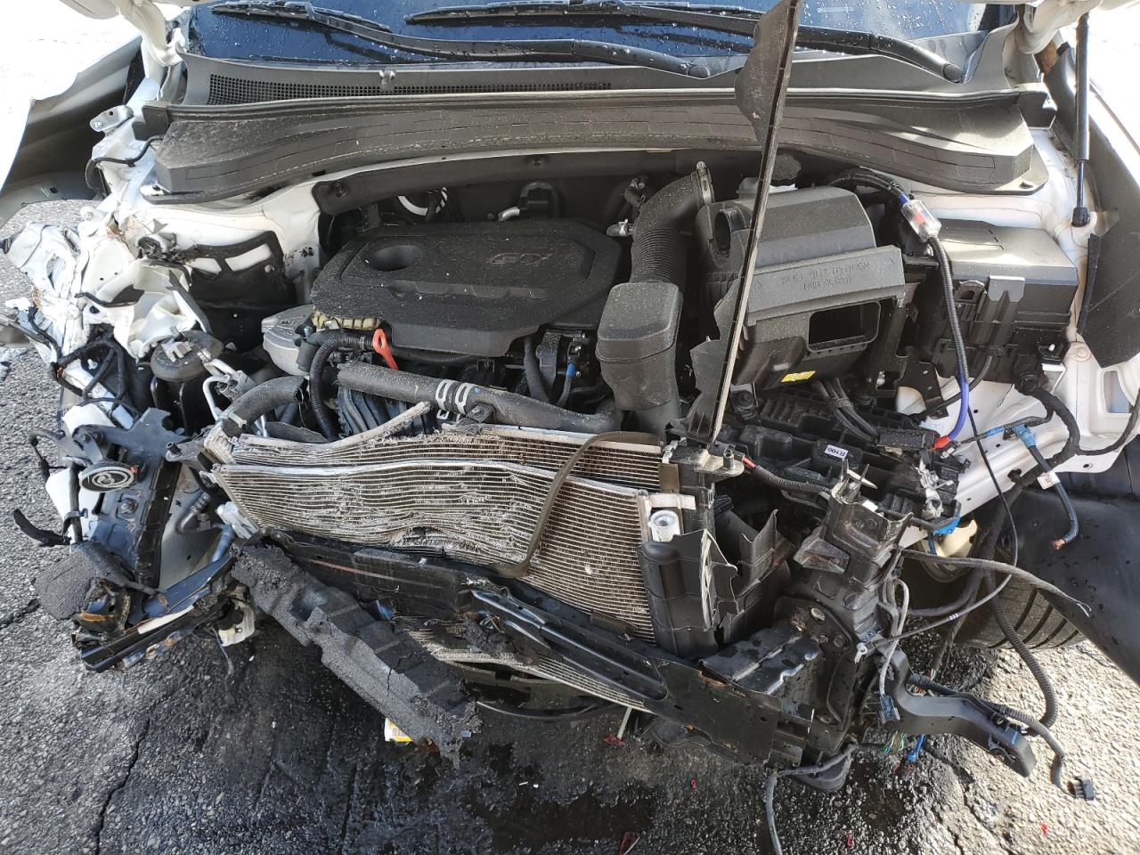 2020 Hyundai Santa Fe Sel VIN: 5NMS33AD6LH266629 Lot: 92938315