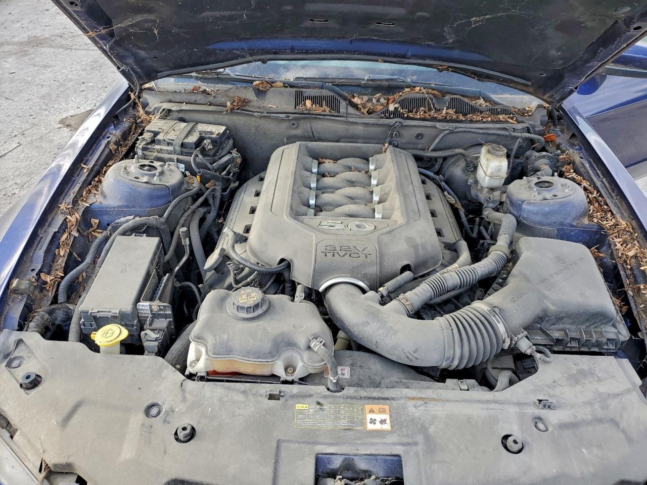 2012 Ford Mustang Gt VIN: 1ZVBP8CFXC5228238 Lot: 94267115