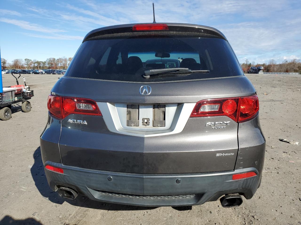 2010 Acura Rdx Technology VIN: 5J8TB1H53AA008510 Lot: 91378805