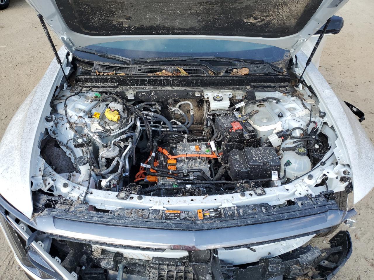 2025 Cadillac Lyriq Sport VIN: 1GYKPURK0SZ309816 Lot: 81716825