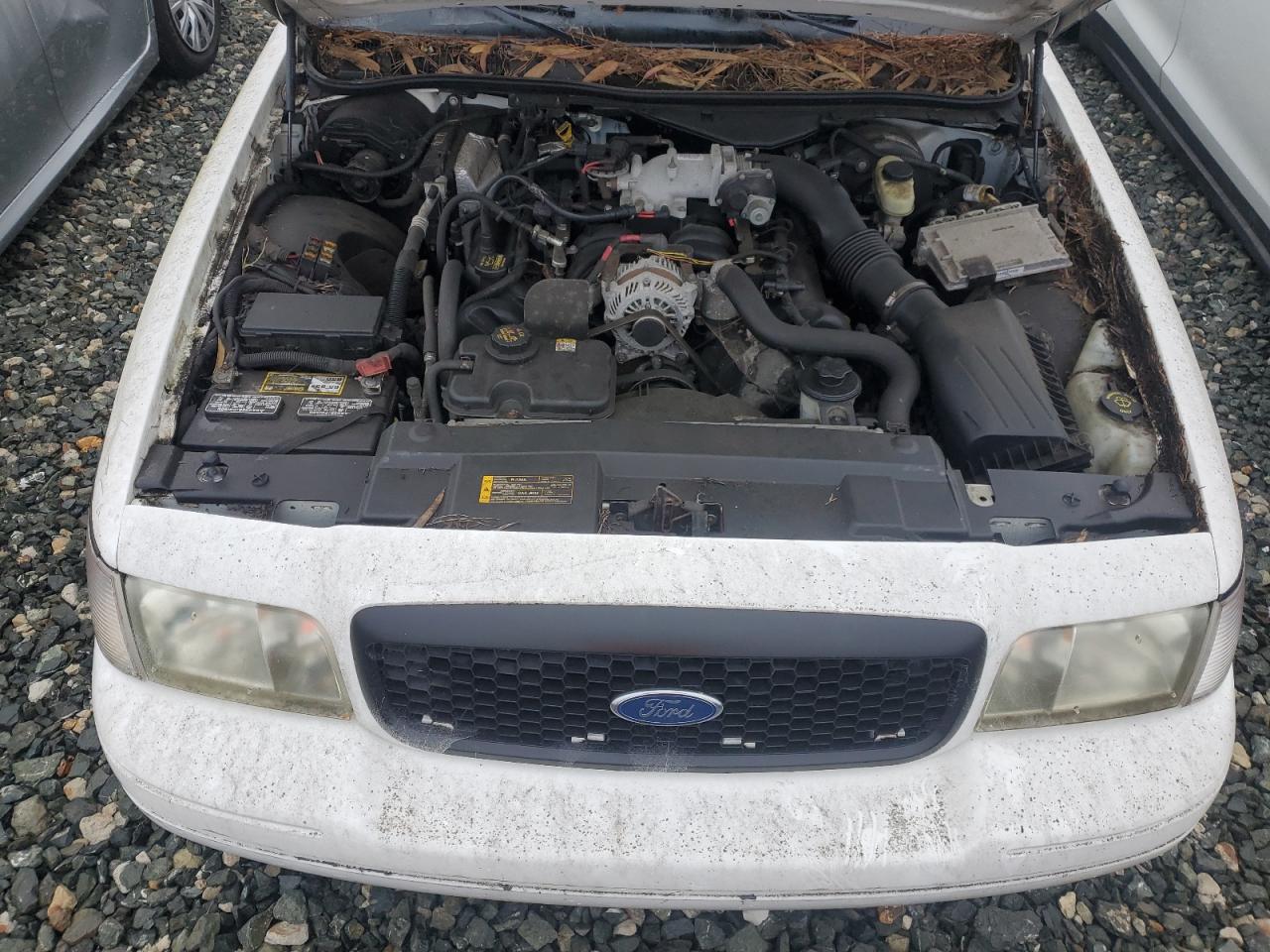 2010 Ford Crown Victoria Police Interceptor VIN: 2FABP7BV5AX117829 Lot: 86899865