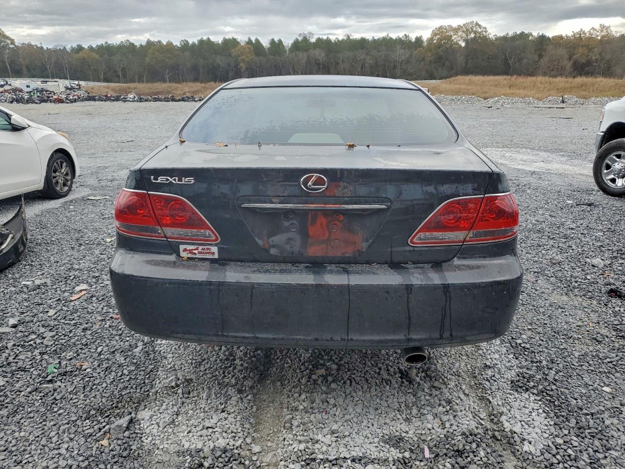 2006 Lexus Es 330 VIN: JTHBA30G865168161 Lot: 92812235