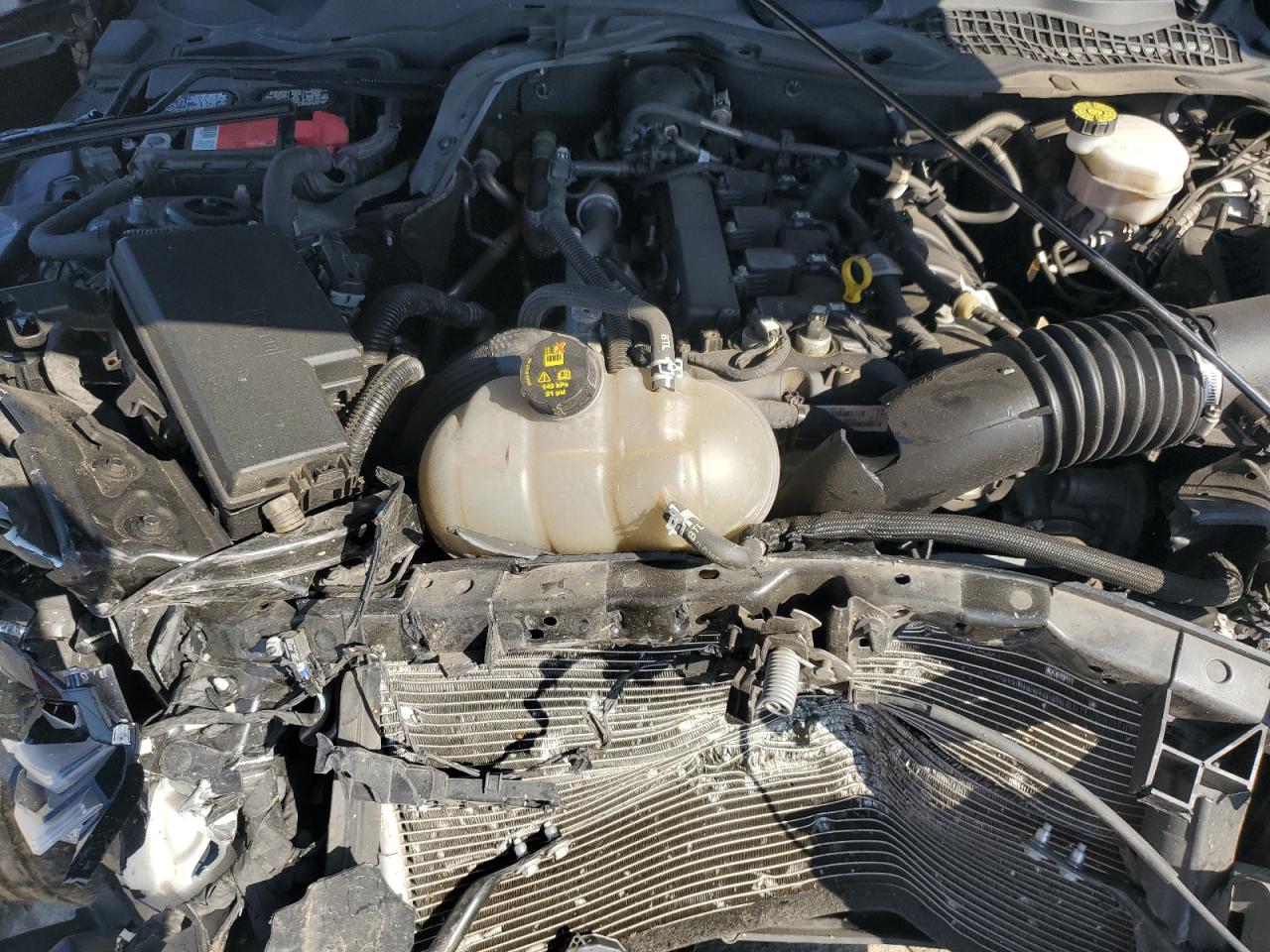 2022 Ford Mustang VIN: 1FA6P8TH5N5101525 Lot: 91706665