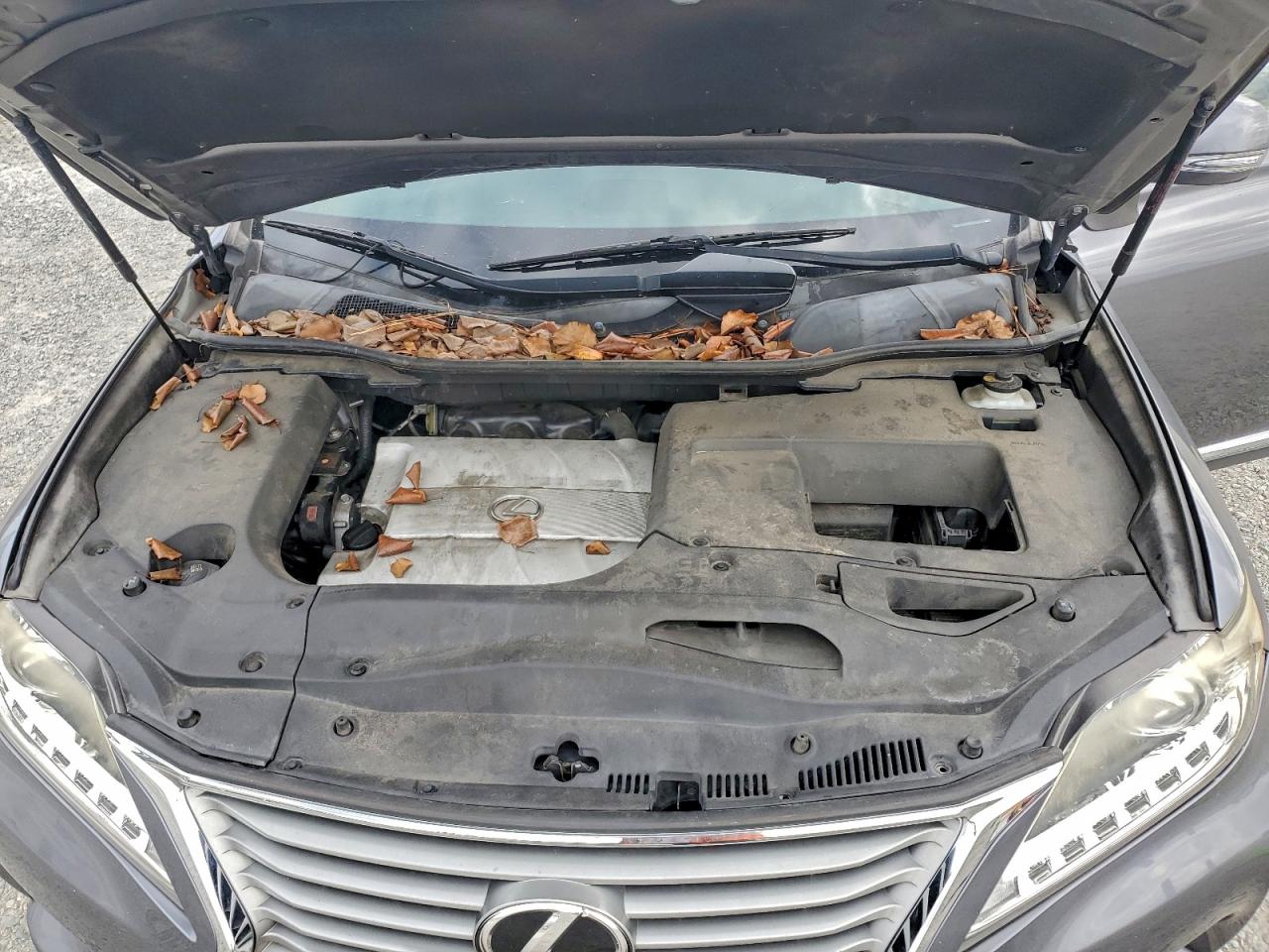 2015 Lexus Rx 350 VIN: JTJZK1BA3F2425798 Lot: 93913365