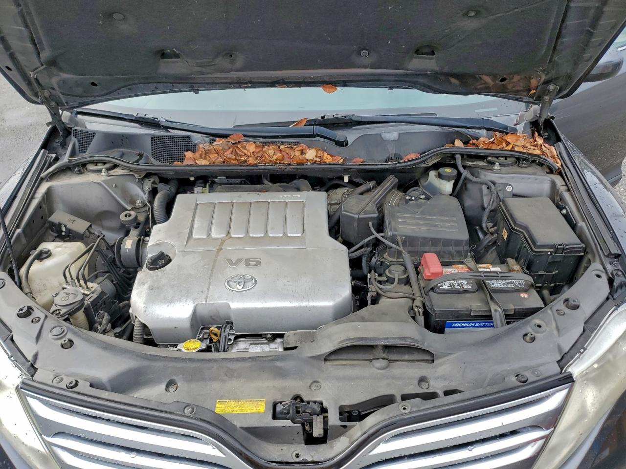 2009 Toyota Venza VIN: 4T3ZK11A79U011679 Lot: 94112605