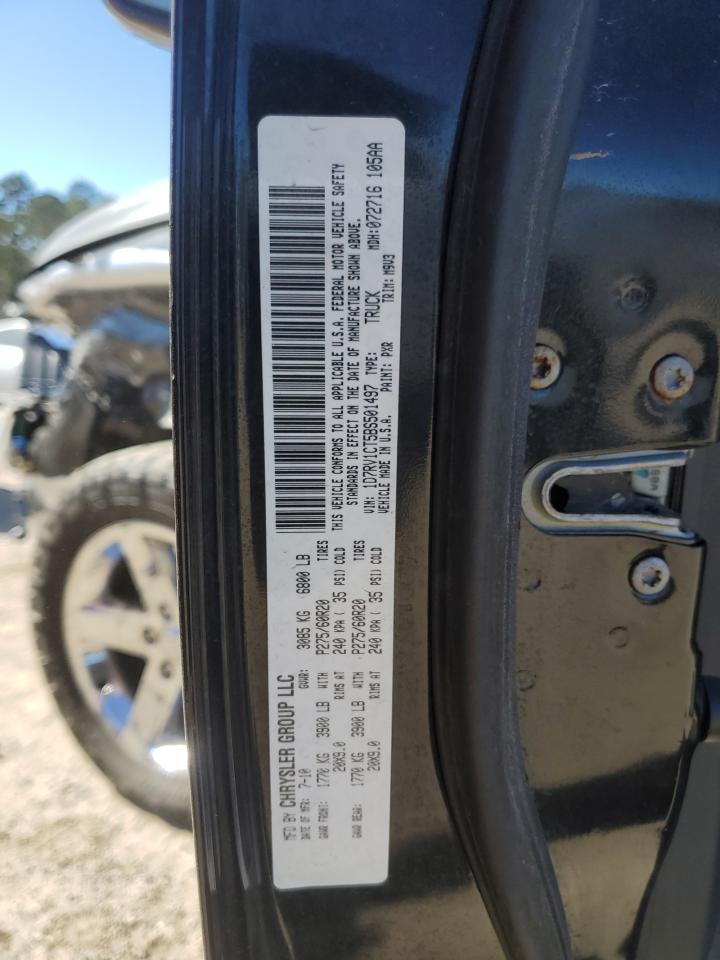 2011 Dodge Ram 1500 VIN: 1D7RV1CT5BS501497 Lot: 91816505