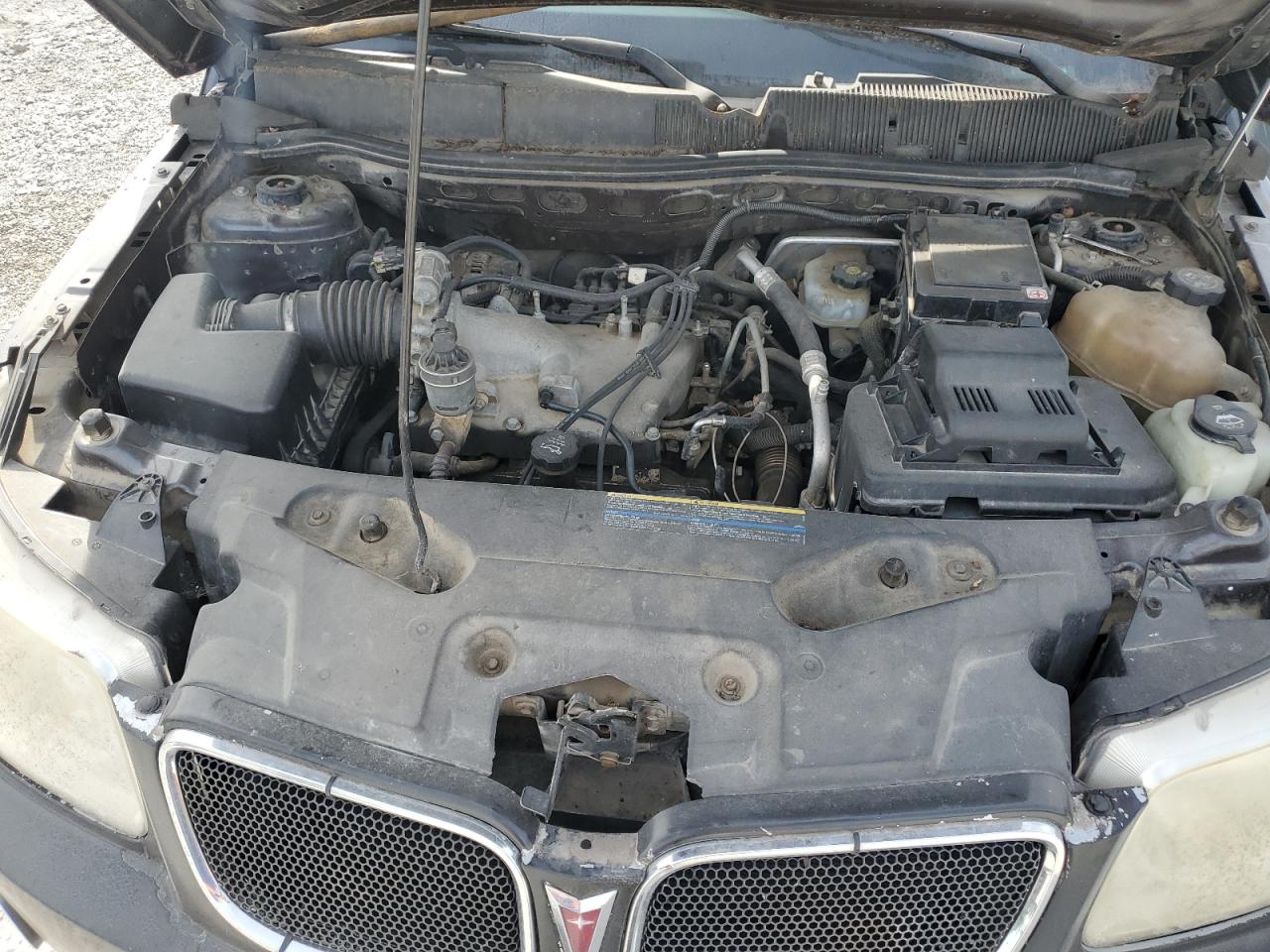 2007 Pontiac Torrent VIN: 2CKDL63F576031847 Lot: 93648655