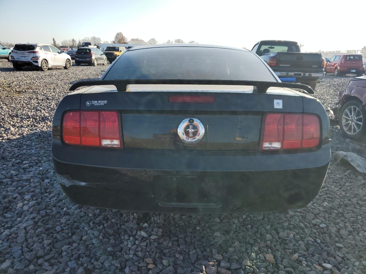 2006 Ford Mustang VIN: 1ZVFT80N565126634 Lot: 92504445