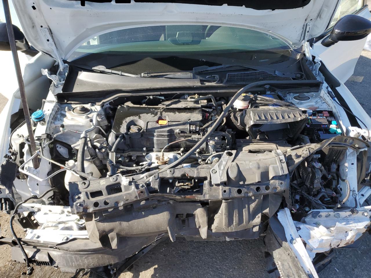 2024 Honda Civic Sport VIN: 2HGFE2F50RH541375 Lot: 91361585