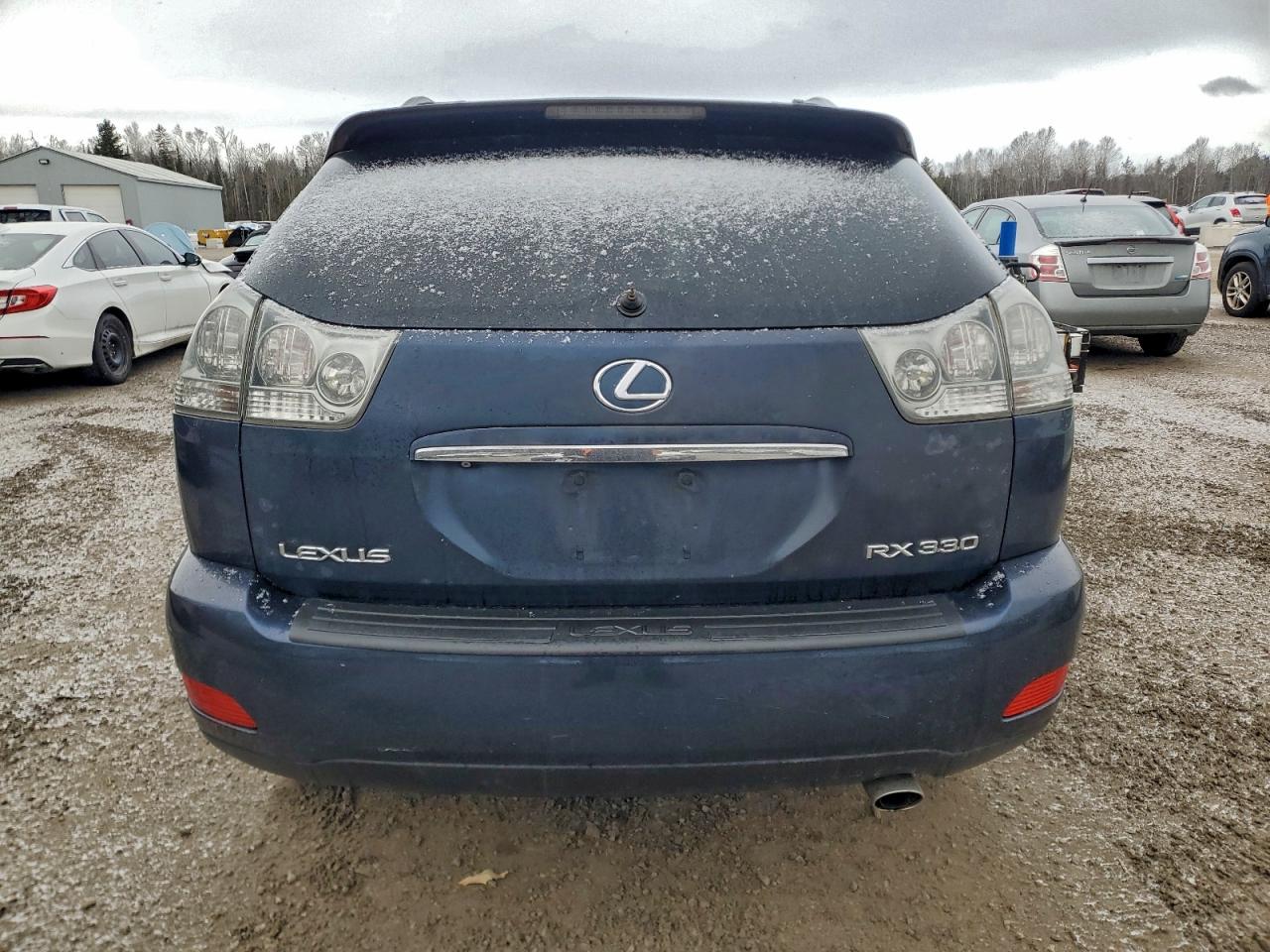 2004 Lexus Rx 330 VIN: JTJHA31UX40058879 Lot: 95065495