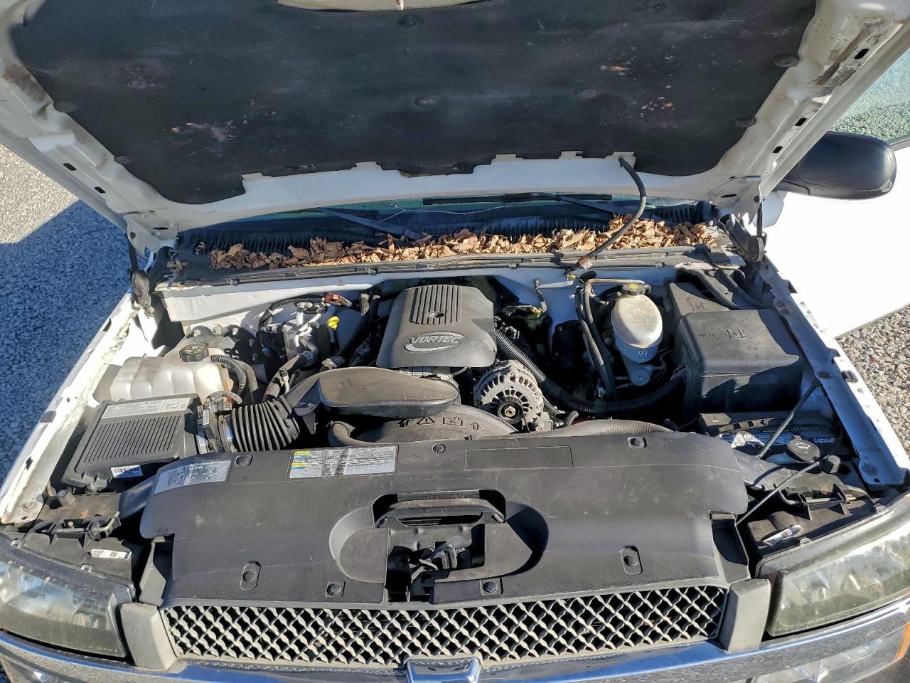 2005 Chevrolet Silverado K1500 VIN: 1GCEK19TX5Z115369 Lot: 94351735