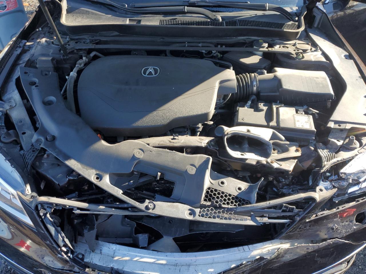 2015 Acura Tlx Advance VIN: 19UUB3F73FA802287 Lot: 92375005