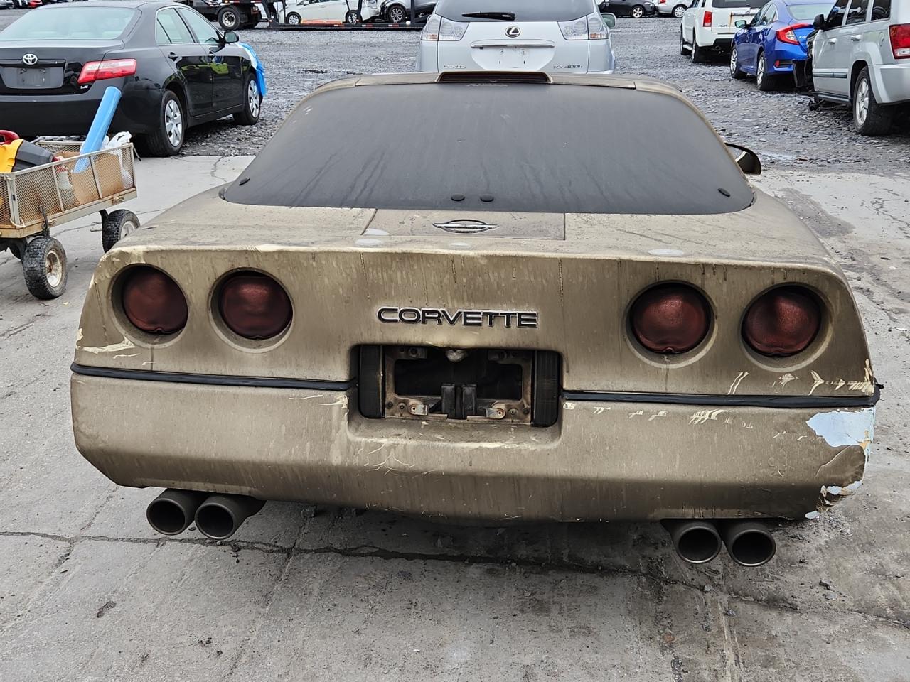 1986 Chevrolet Corvette VIN: 1G1YY0787G5126904 Lot: 91388435