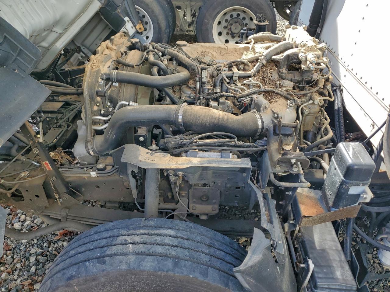 2022 Isuzu Nrr - Refrigerated Box Truck VIN: JALE5W168N7303117 Lot: 94276405