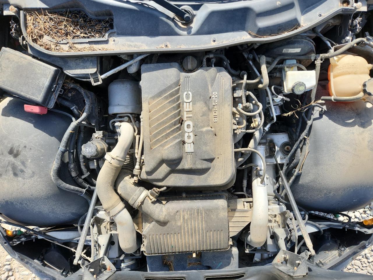 2008 Saturn Sky Redline VIN: 1G8MF35X18Y120923 Lot: 92113245