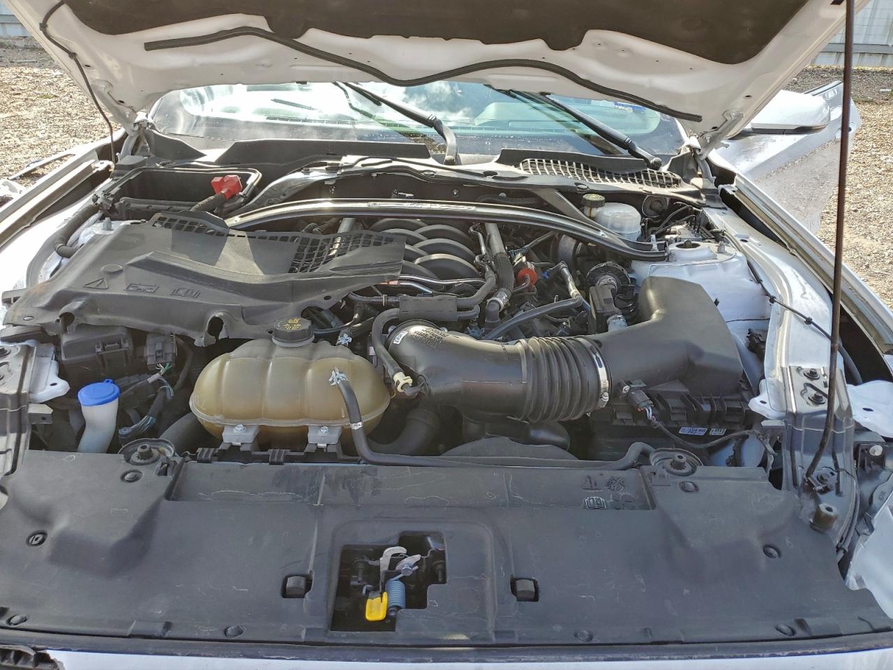 2021 Ford Mustang Gt VIN: 1FA6P8CF5M5110979 Lot: 93891145