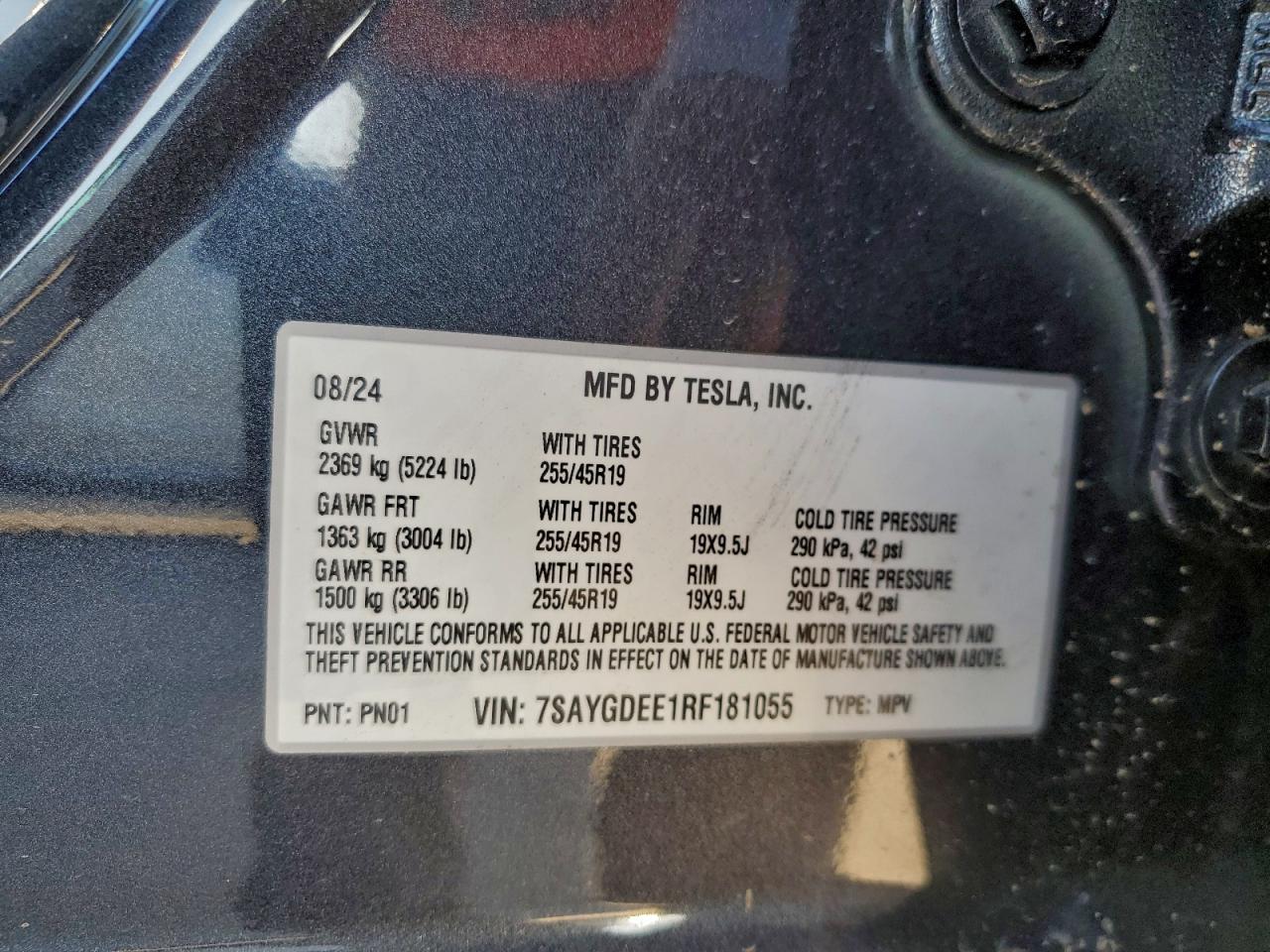 2024 Tesla Model Y VIN: 7SAYGDEE1RF181055 Lot: 94156595